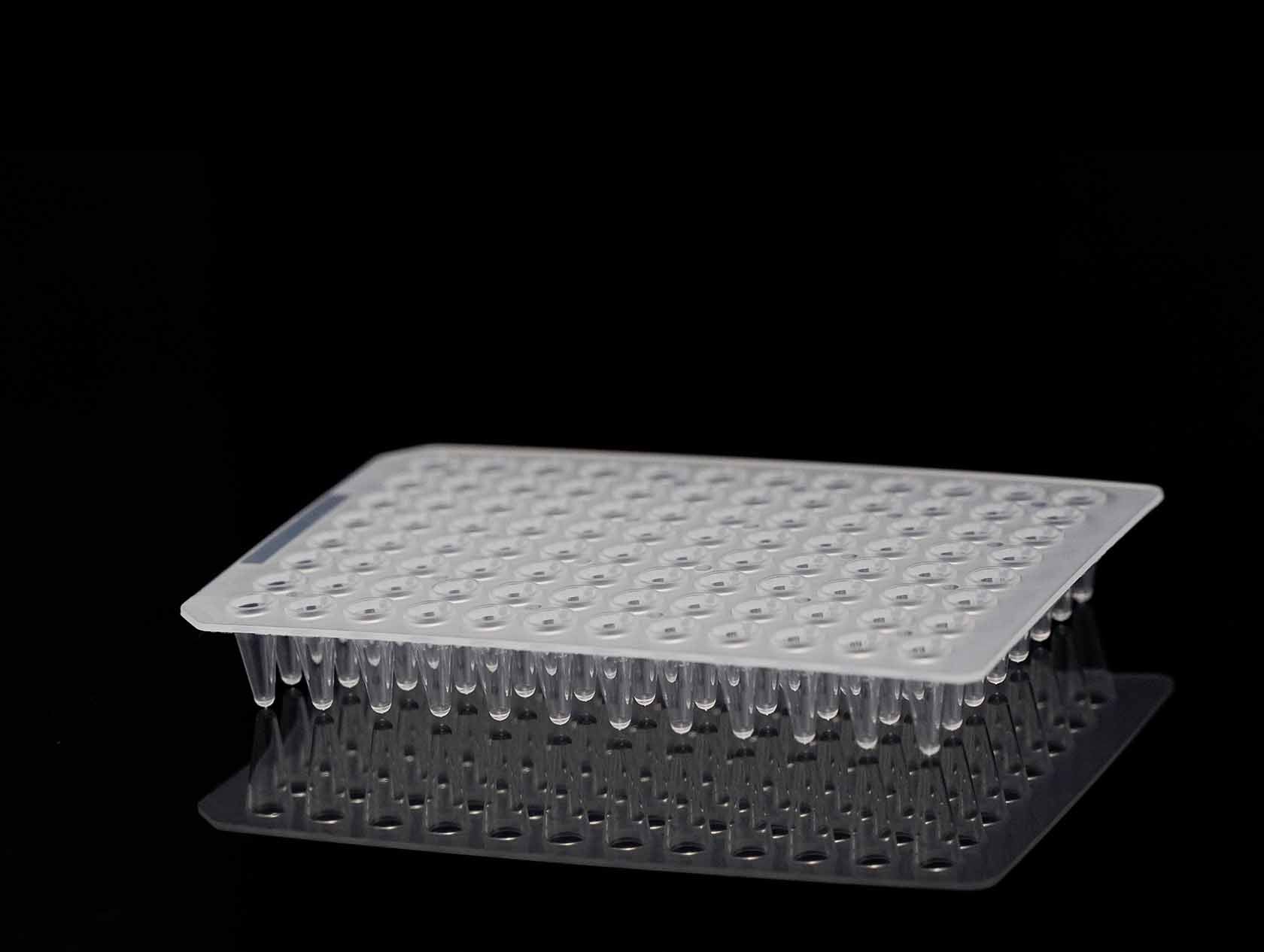 PCR 96-Well Plate - Four E's USA (A Four E's Scientific Company)