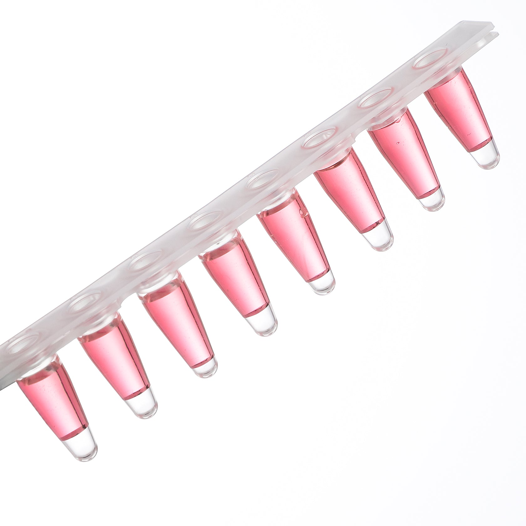 PCR 8-Strip Tube - Four E's USA (A Four E's Scientific Company)