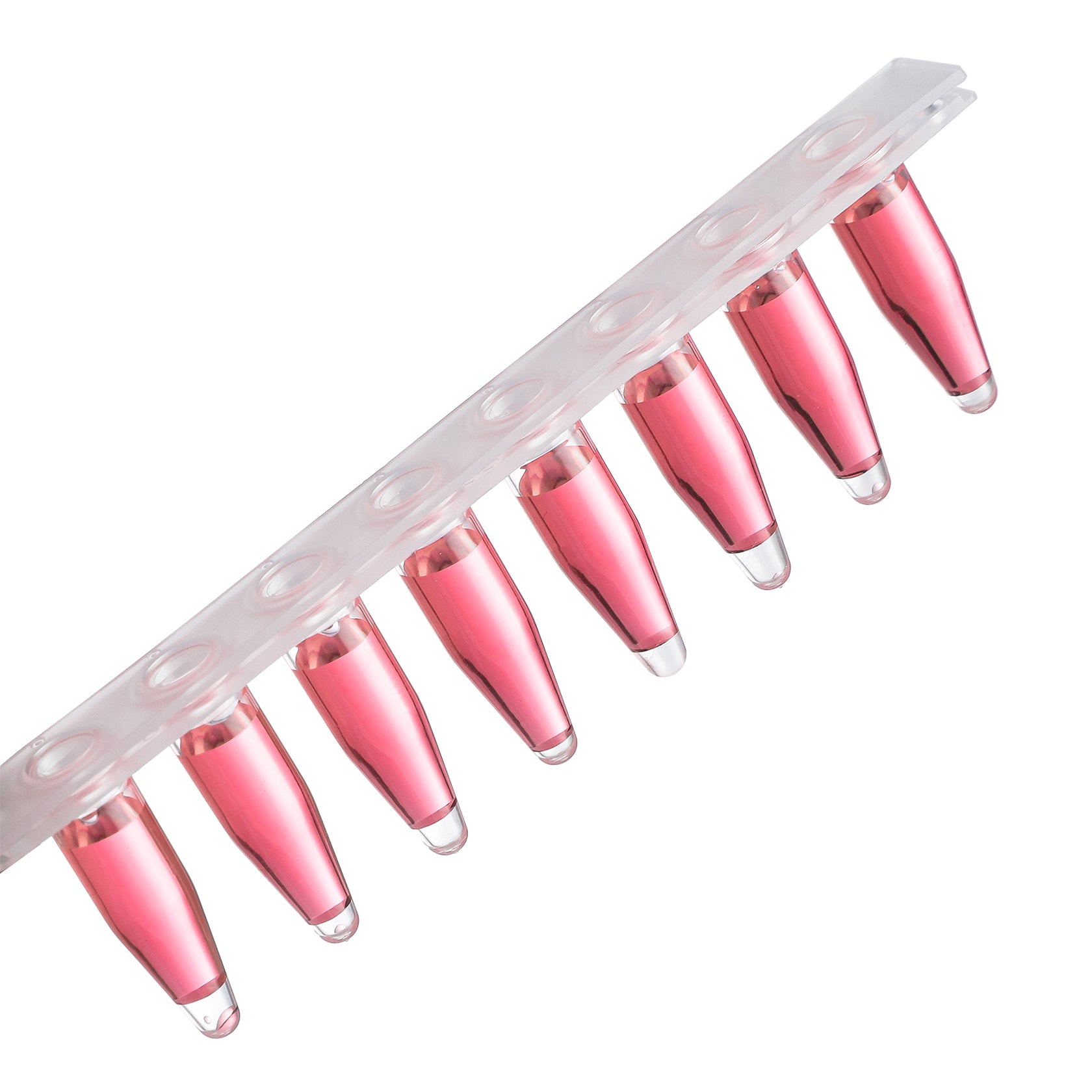 PCR 8-Strip Tube - Four E's USA (A Four E's Scientific Company)